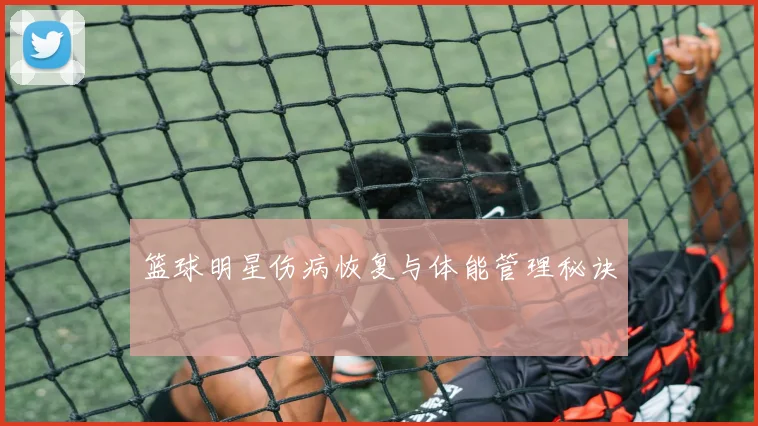 篮球明星伤病恢复与体能管理秘诀