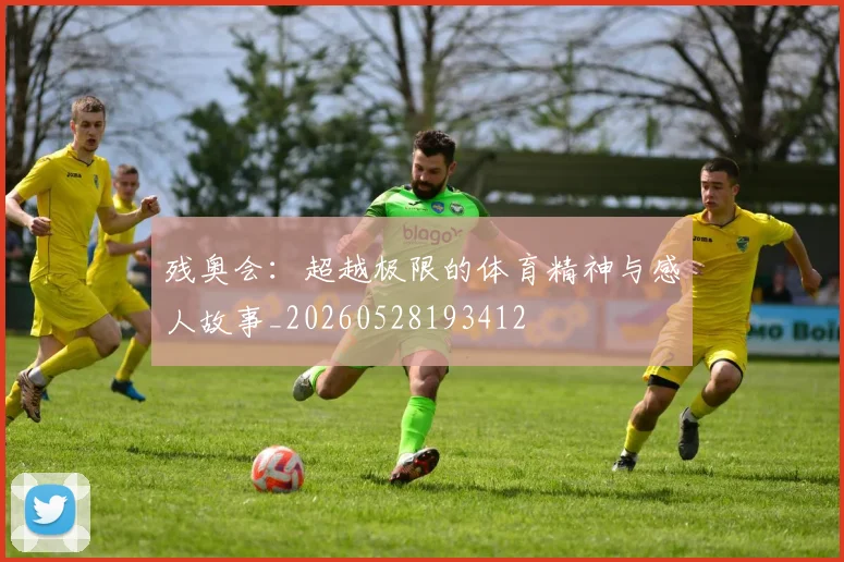 残奥会:超越极限的体育精神与感人故事_20260528193412