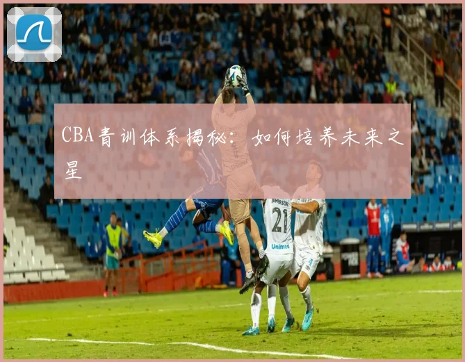 CBA青训体系揭秘：如何培养未来之星