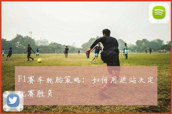 F1赛车轮胎策略：如何用进站决定比赛胜负